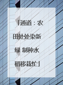 通道：农田处处染新绿 制种水稻移栽忙