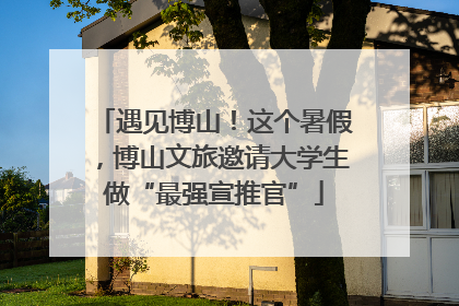 遇见博山！这个暑假，博山文旅邀请大学生做“最强宣推官”