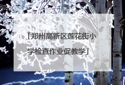 郑州高新区莲花街小学检查作业促教学