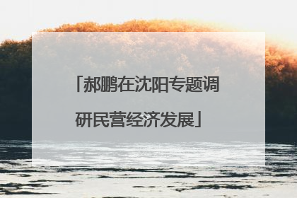 郝鹏在沈阳专题调研民营经济发展