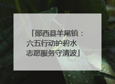 郧西县羊尾镇：六五行动护碧水 志愿服务守清波