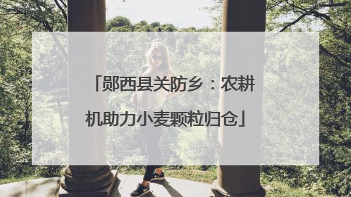 郧西县关防乡：农耕机助力小麦颗粒归仓