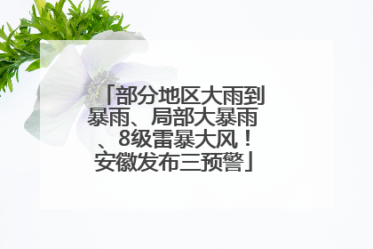 部分地区大雨到暴雨、局部大暴雨、8级雷暴大风！安徽发布三预警