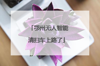 鄂州无人智能清扫车上路了