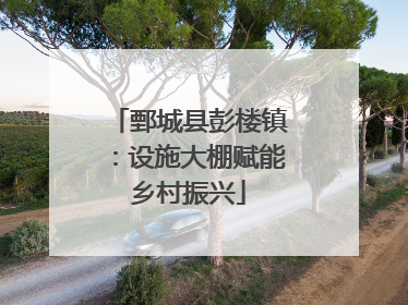 鄄城县彭楼镇：设施大棚赋能乡村振兴