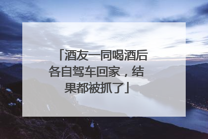 酒友一同喝酒后各自驾车回家，结果都被抓了