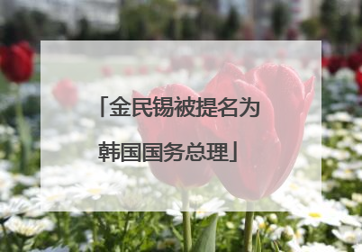 金民锡被提名为韩国国务总理
