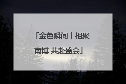 金色瞬间丨相聚南博 共赴盛会