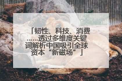 韧性、科技、消费……透过多维度关键词解析中国吸引全球资本“新磁场”