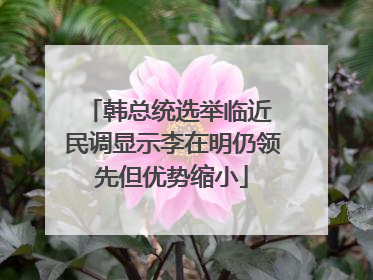 韩总统选举临近 民调显示李在明仍领先但优势缩小