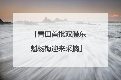 青田首批双膜东魁杨梅迎来采摘