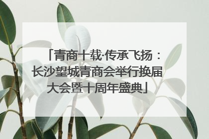 青商十载·传承飞扬：长沙望城青商会举行换届大会暨十周年盛典