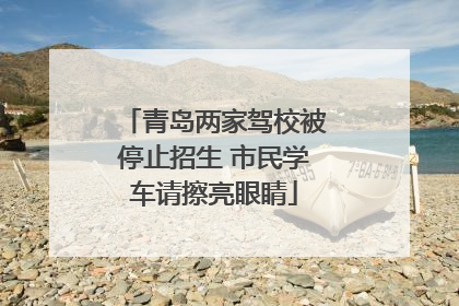 青岛两家驾校被停止招生 市民学车请擦亮眼睛