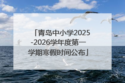 青岛中小学2025-2026学年度第一学期寒假时间公布