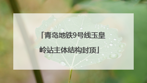 青岛地铁9号线玉皇岭站主体结构封顶