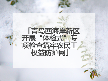 青岛西海岸新区开展“体检式”专项检查筑牢农民工权益防护网