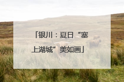 银川：夏日“塞上湖城”美如画