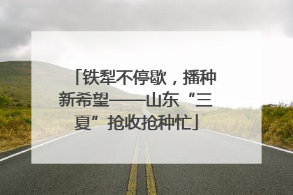 铁犁不停歇，播种新希望——山东“三夏”抢收抢种忙