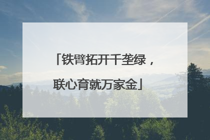铁臂拓开千垄绿，联心育就万家金