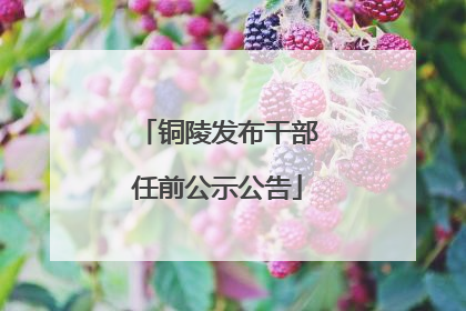 铜陵发布干部任前公示公告