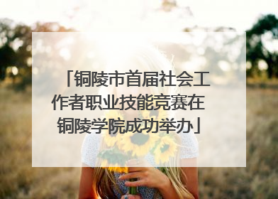 铜陵市首届社会工作者职业技能竞赛在铜陵学院成功举办