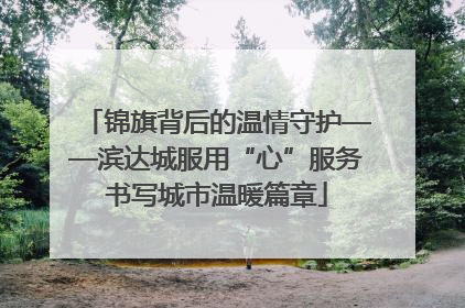 锦旗背后的温情守护——滨达城服用“心”服务书写城市温暖篇章
