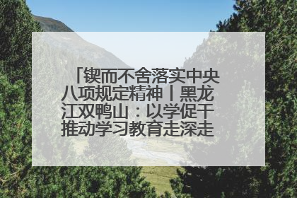 锲而不舍落实中央八项规定精神丨黑龙江双鸭山：以学促干推动学习教育走深走实 从小事入手写好“民生答卷”