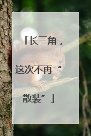 长三角，这次不再“散装”