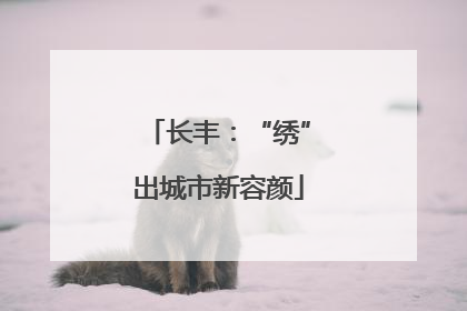 长丰：“绣”出城市新容颜