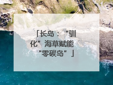 长岛：“驯化”海草赋能“零碳岛”