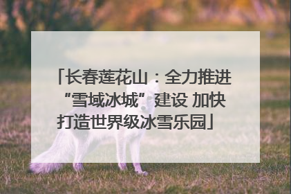 长春莲花山：全力推进“雪域冰城”建设 加快打造世界级冰雪乐园