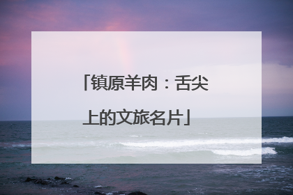 镇原羊肉：舌尖上的文旅名片