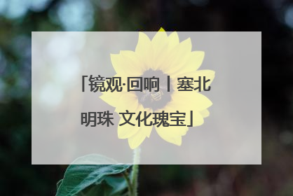 镜观·回响丨塞北明珠 文化瑰宝