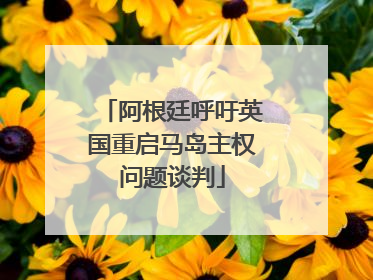 阿根廷呼吁英国重启马岛主权问题谈判