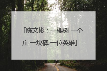 陈文彬：一棵树 一个庄 一块碑 一位英雄
