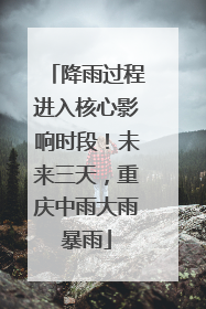 降雨过程进入核心影响时段！未来三天，重庆中雨大雨暴雨