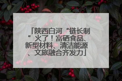 陕西白河“链长制”火了！富硒食品、新型材料、清洁能源、文旅融合齐发力
