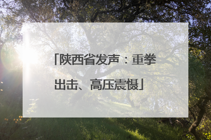 陕西省发声：重拳出击、高压震慑