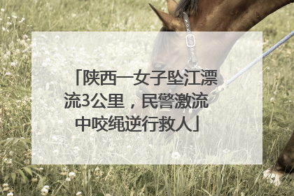 陕西一女子坠江漂流3公里，民警激流中咬绳逆行救人