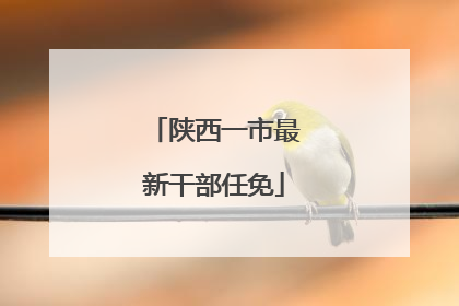 陕西一市最新干部任免