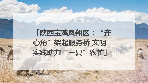 陕西宝鸡凤翔区：“连心角”架起服务桥 文明实践助力“三夏”农忙