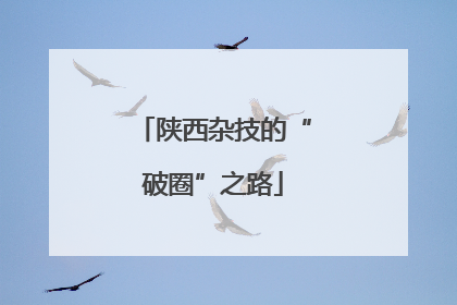 陕西杂技的“破圈”之路