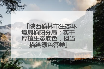 陕西榆林市生态环境局榆阳分局：实干厚植生态底色，担当描绘绿色答卷