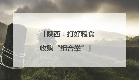 陕西：打好粮食收购“组合拳”
