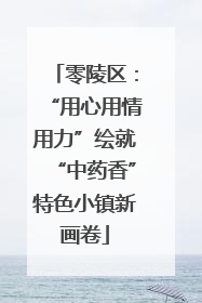 零陵区：“用心用情用力”绘就“中药香”特色小镇新画卷