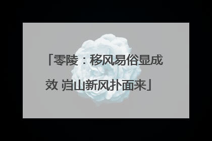 零陵：移风易俗显成效 岿山新风扑面来