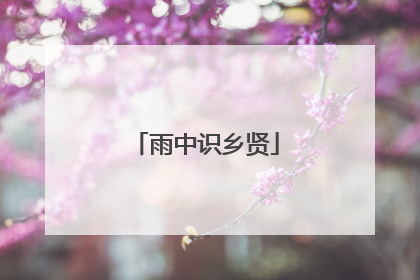 雨中识乡贤