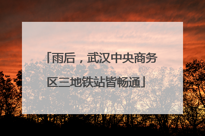 雨后，武汉中央商务区三地铁站皆畅通
