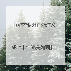 雨季插秧忙 浙江文成“丰”光美如画