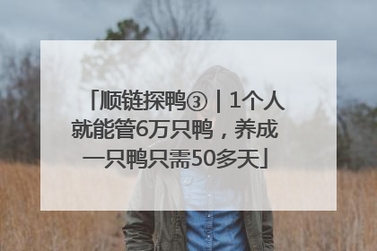 顺链探鸭③｜1个人就能管6万只鸭，养成一只鸭只需50多天